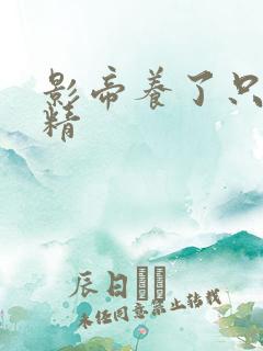 影帝养了只兰花精