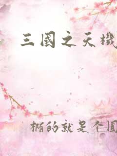 三国之天机军师