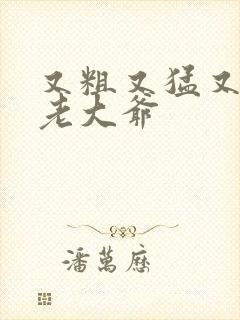 又粗又猛又大爽老大爷