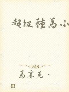 超级种马小说