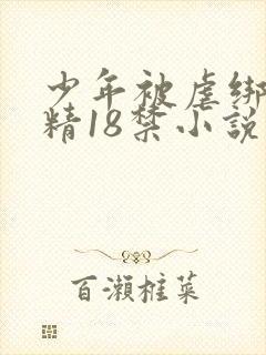 少年被虐绑着榨精18禁小说