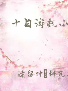 十日游戏小说