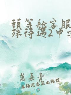 头等舱客服的特殊待遇2中字