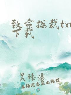 致命总裁txt下载