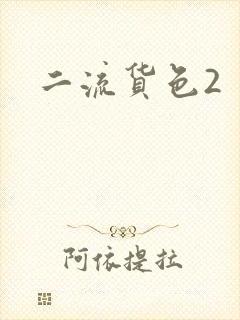 二流货色2