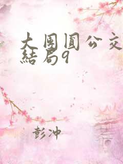 大团圆公交车大结局9