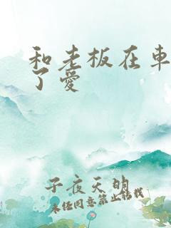 和老板在车里做了爱