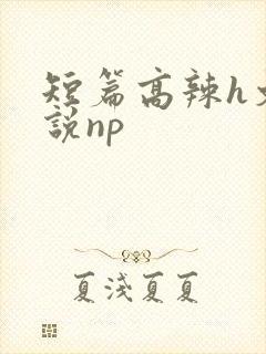 短篇高辣h文小说np