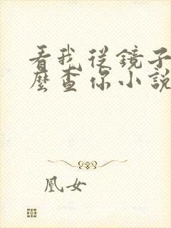 看我从镜子里怎么查你小说