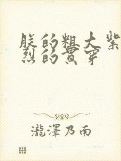 朕的粗大紫红猛烈的贯穿