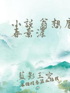 小说 翁想房中春意浓