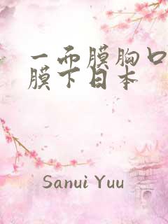 一面膜胸口一面膜下日本