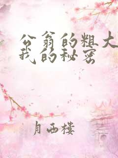 公翁的粗大放进我的秘密