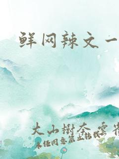 鲜网辣文一对一