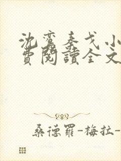 沈鸾秦戈小说免费阅读全文