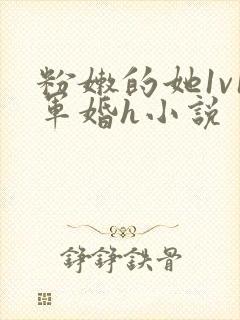 粉嫩的她1v1军婚h小说