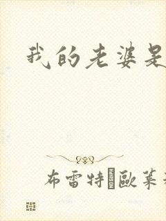 我的老婆是大神