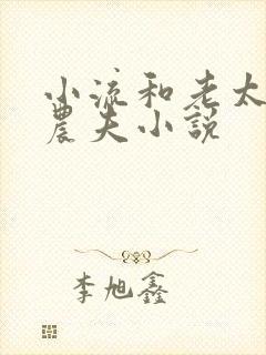 小流和老太69农夫小说