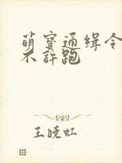 萌宝通缉令妈味不许跑