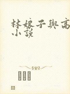 林娘子与高衙内小说