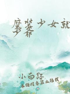 魔装少女就是本少爷