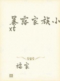 暴露家族小说txt