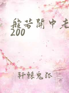 般若关中老人5200