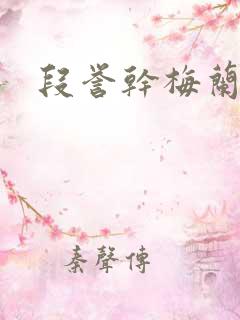 段誉干梅兰竹菊