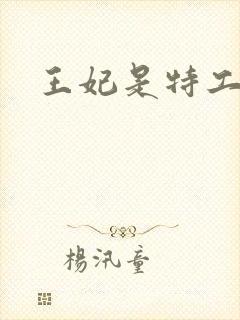 王妃是特工