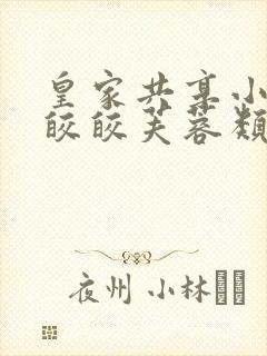 皇家共享小公主皎皎芙蓉类小说