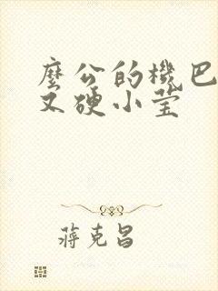 么公的机巴又粗又硬小莹