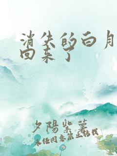消失的白月光又回来了