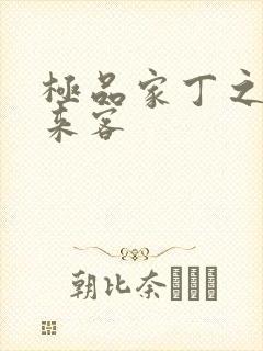 极品家丁之远方来客