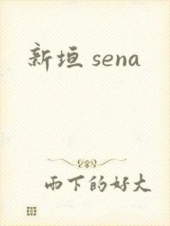新垣 sena