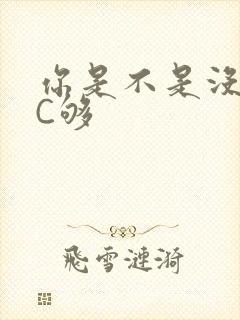 你是不是没有被C够