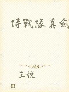 侍战队真剑者2
