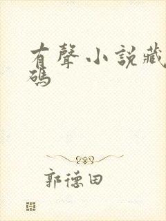 有声小说藏地密码