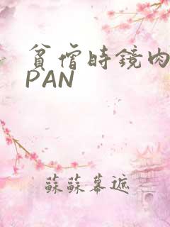 贫僧时镜肉补全PAN