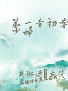 第一章初尝极品少妇