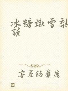 冰糖炖雪梨 小说