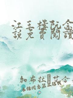 江玉楼阮念笙小说免费阅读