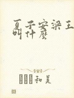 夏子安梁王书名叫什么