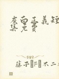 灰白正义短剧全集免费