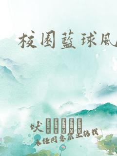 校园蓝球风云
