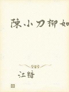 陈小刀柳如意