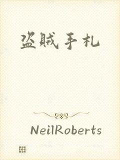 盗贼手札