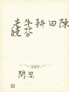 老牛耕田陈雪杨晓芬