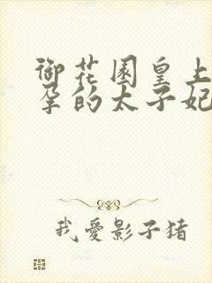 御花园皇上c有孕的太子妃