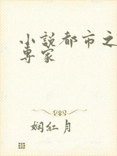 小说都市之军火专家