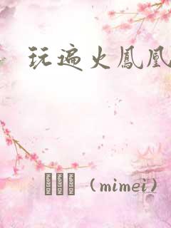 玩遍火凤凰队员